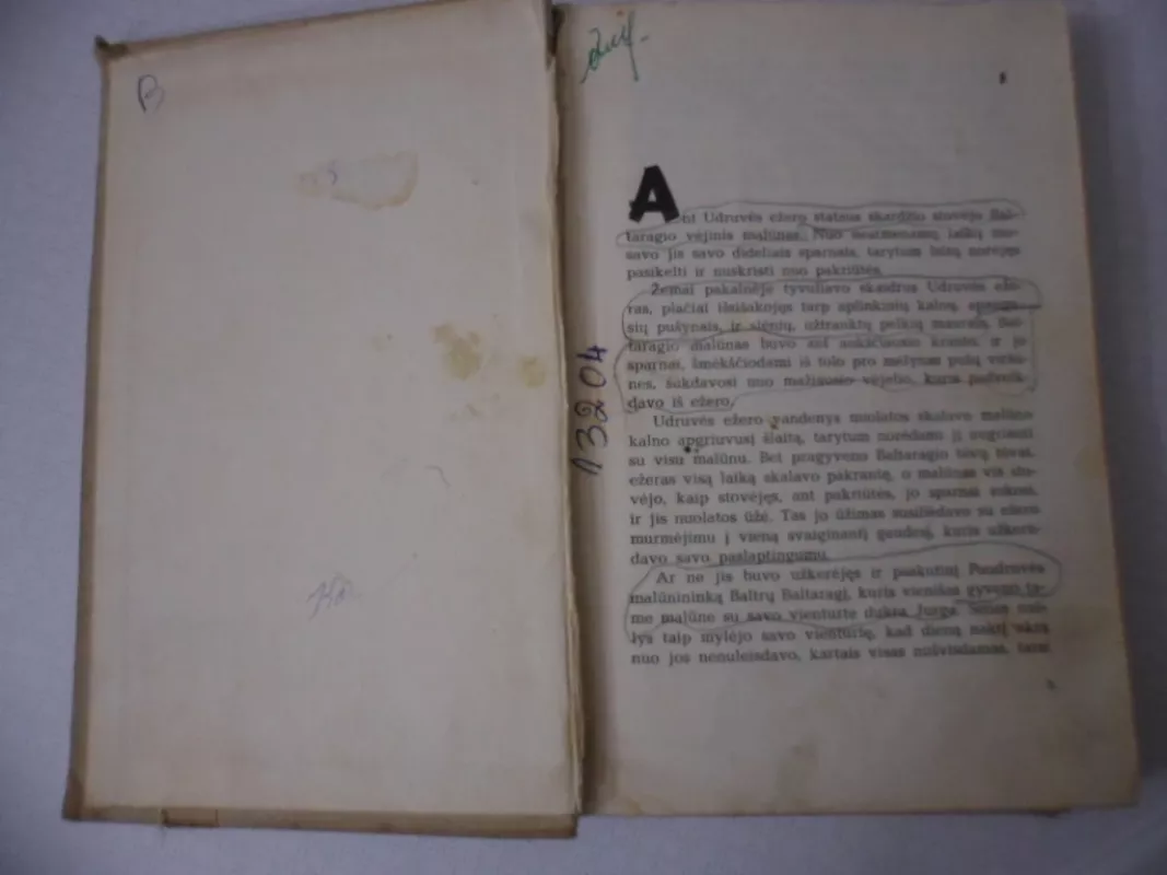 Baltaragio malūnas arba kas dėjosi anuo metu Paudruvės krašte - Kazys Boruta, knyga 4