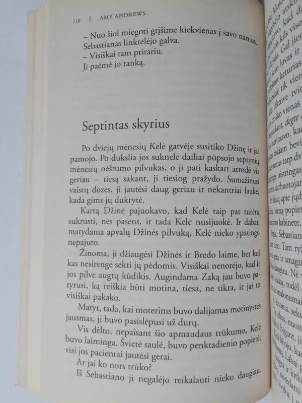 Meilės terapija - Amy Andrews, knyga 6