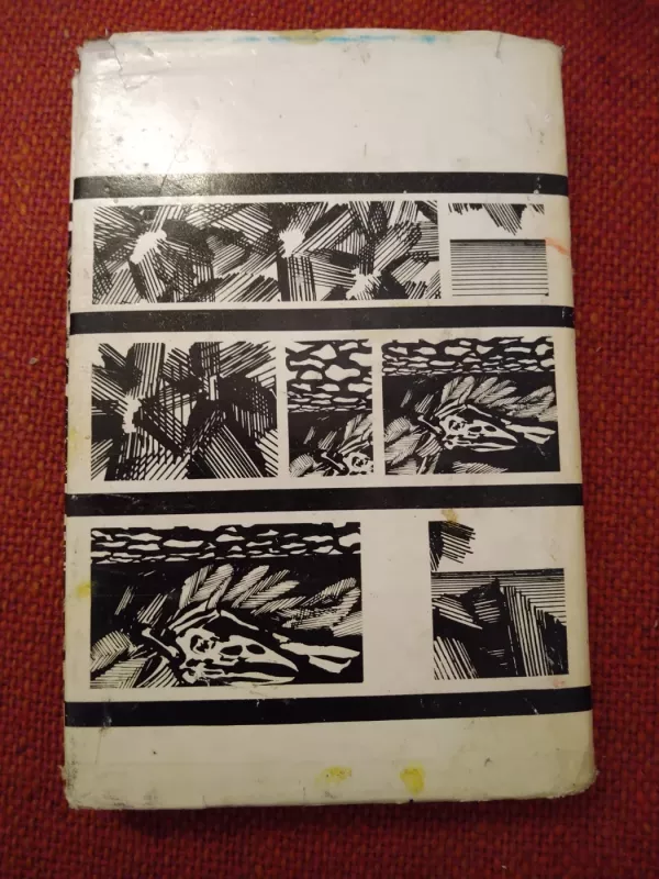 Tą šaltą žiemą. Atspindžiai jūros veidrody - Romualdas Lankauskas, knyga 3