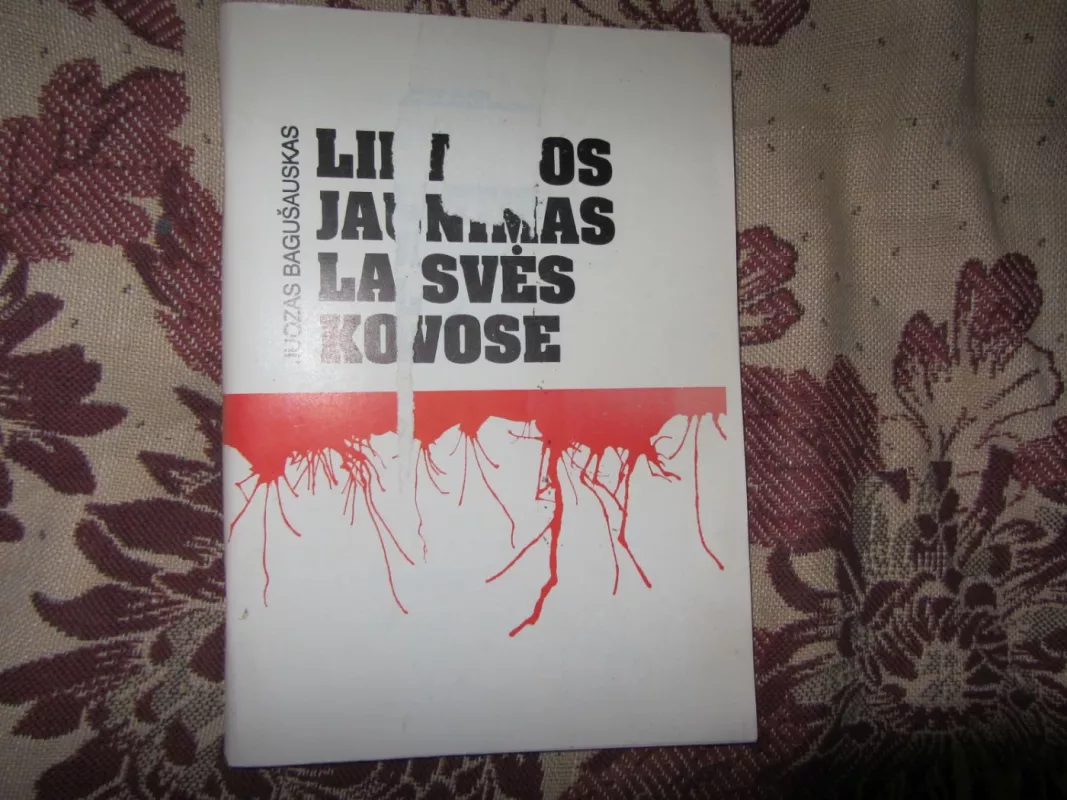 Lietuvos jaunimas laisvės kovose - Juozas Bagušauskas, knyga 2