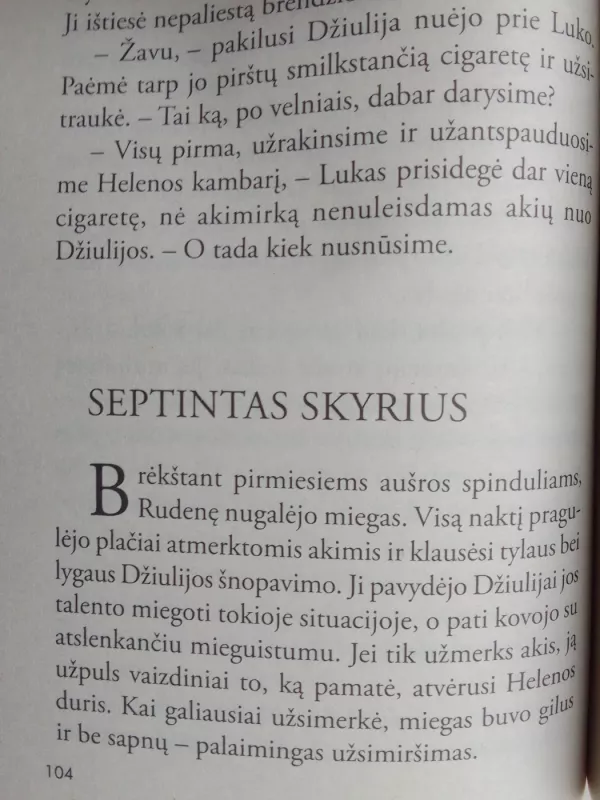 Prieš audrą - Nora Roberts, knyga 6