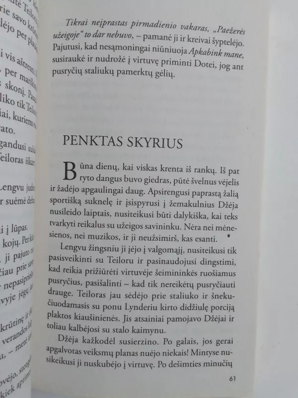 Dabar ir visados - Nora Roberts, knyga 6