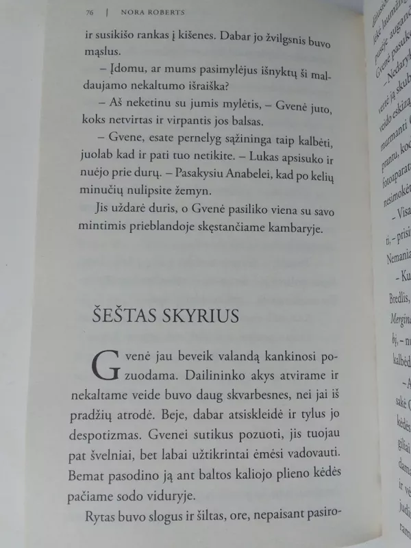 Žavus nuomininkas - Nora Roberts, knyga 5
