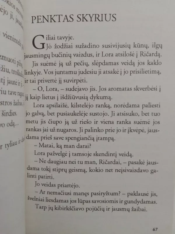 Prisijaukinti pabaisą - Amy J. Fetzer, knyga 6