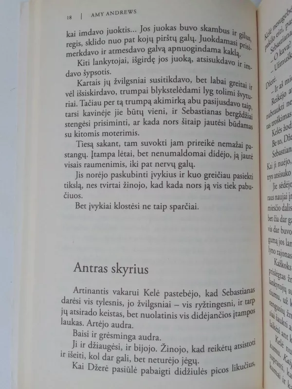 Meilės terapija - Amy Andrews, knyga 4