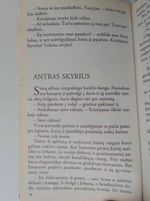 Išloštoji baronienė - Jane Porter, knyga 4