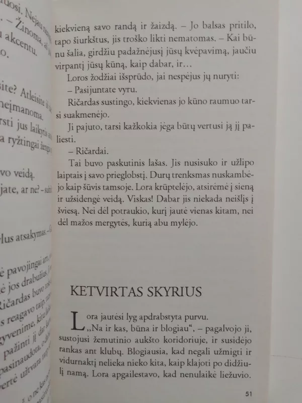 Prisijaukinti pabaisą - Amy J. Fetzer, knyga 5