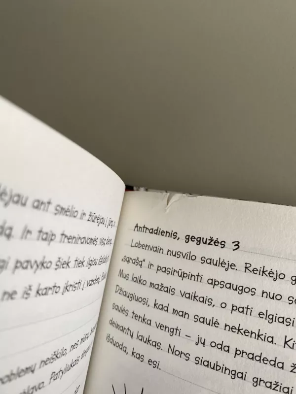 Koko arba mažiausios vampyrės dienoraštis - Iris Blanck, knyga 4