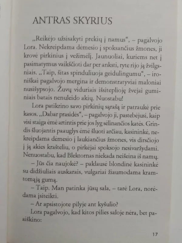 Prisijaukinti pabaisą - Amy J. Fetzer, knyga 4