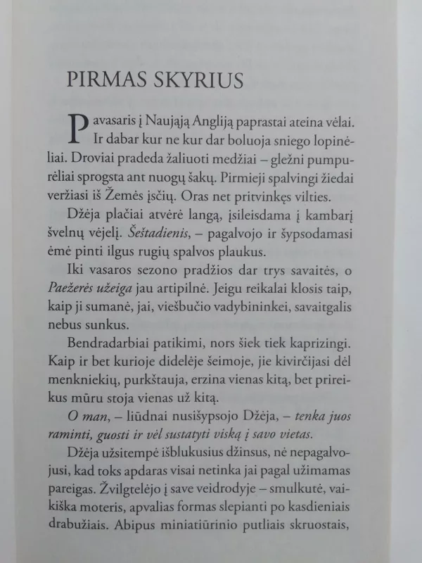 Dabar ir visados - Nora Roberts, knyga 3