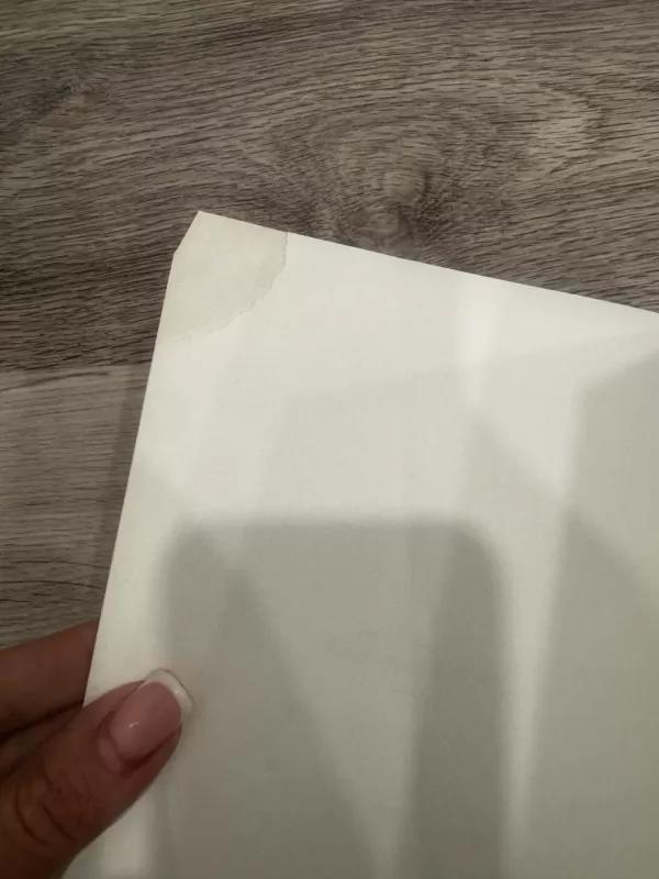 Lemtingos Kalėdos - Catherine Walsh, knyga 4