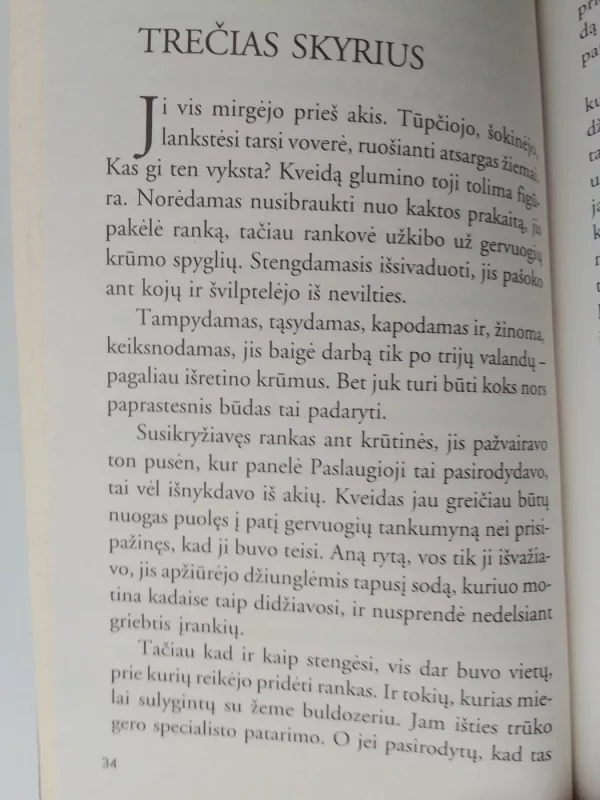Žavusis Kveidas - Bronwyn Jameson, knyga 6