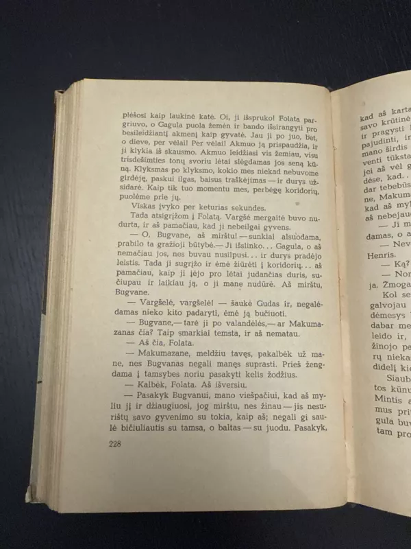 Karaliaus Saliamono kasyklos - H. Raideris Hagardas, knyga 5