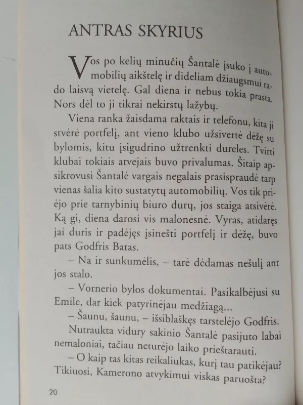 Žavusis Kveidas - Bronwyn Jameson, knyga 4