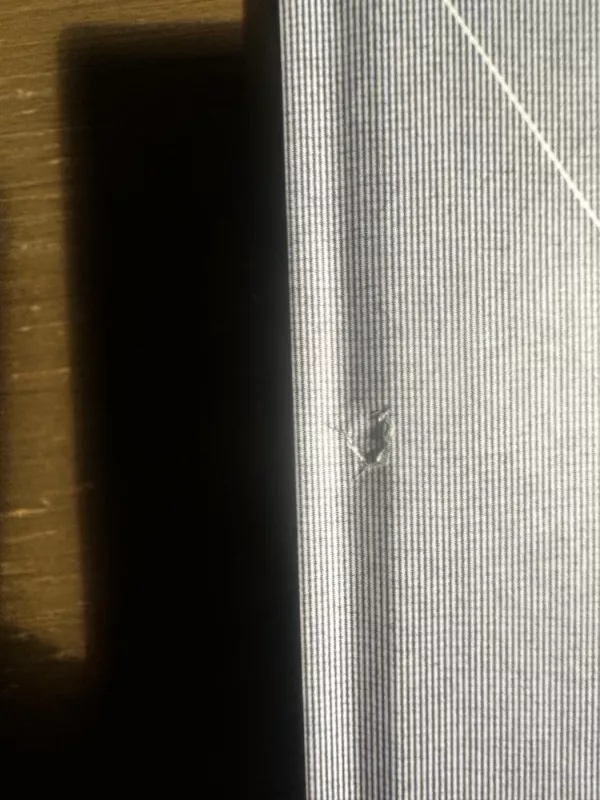 Vilko dvaras - Hilary Mantel, knyga 5