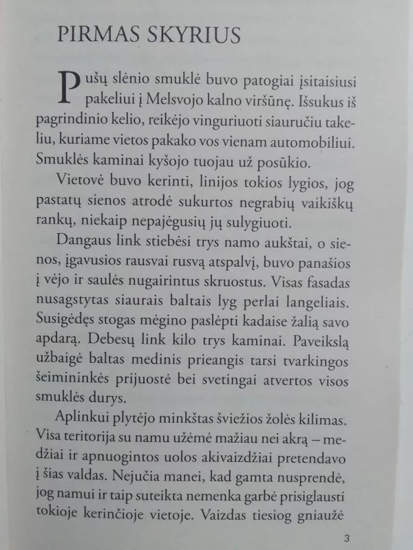 Prieš audrą - Nora Roberts, knyga 3