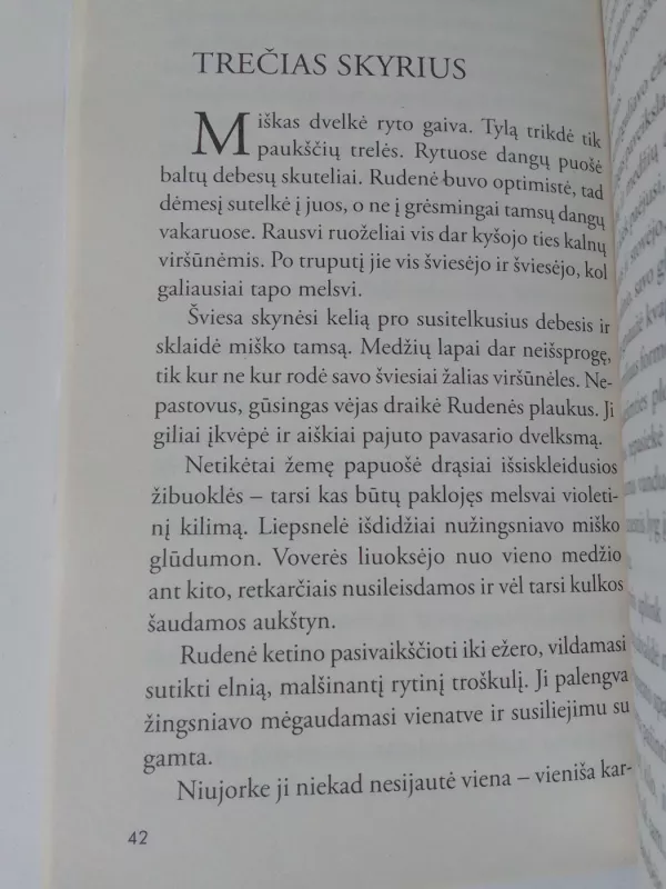 Prieš audrą - Nora Roberts, knyga 5