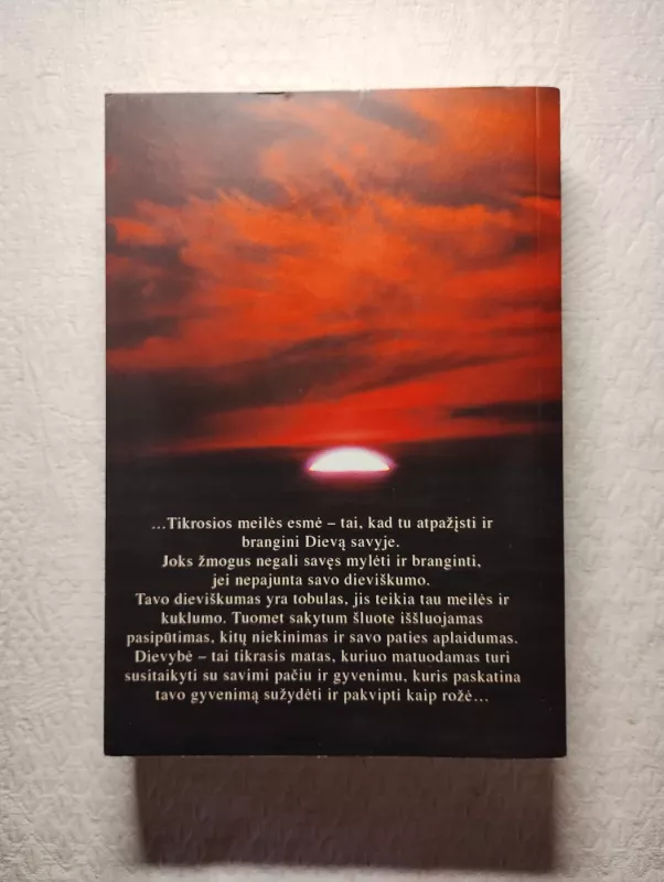 Sai Baba kalba Vakarams - Stephan von Stepski-Doliwa, knyga 3