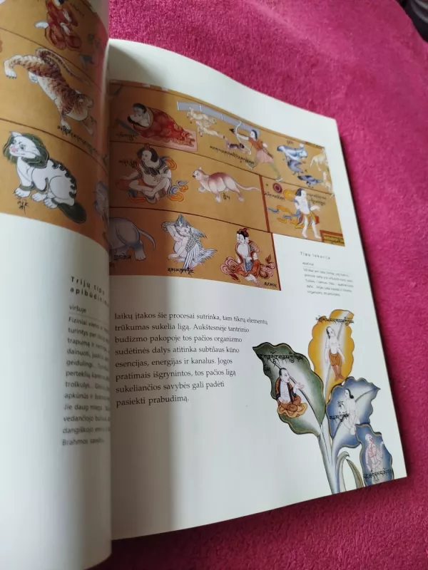 Tibeto gydymo menas - Ian A. Baker, knyga 4