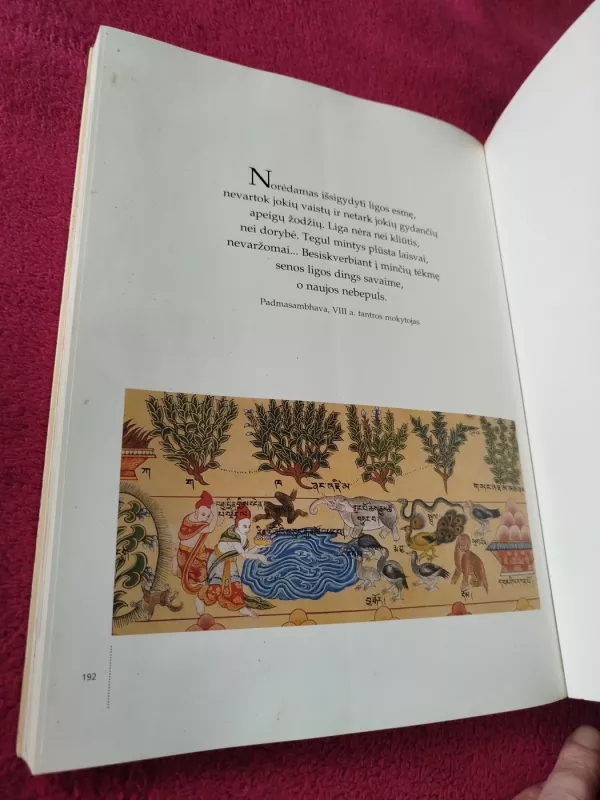 Tibeto gydymo menas - Ian A. Baker, knyga 5