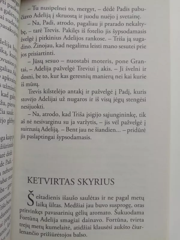 Gražioji arklininkė - Nora Roberts, knyga 4