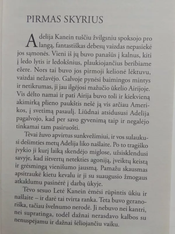 Gražioji arklininkė - Nora Roberts, knyga 3