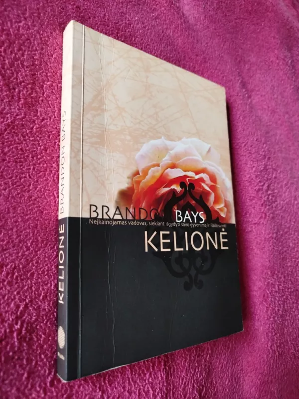 Brandon Bays Kelionė - Brandon Bays, knyga 2