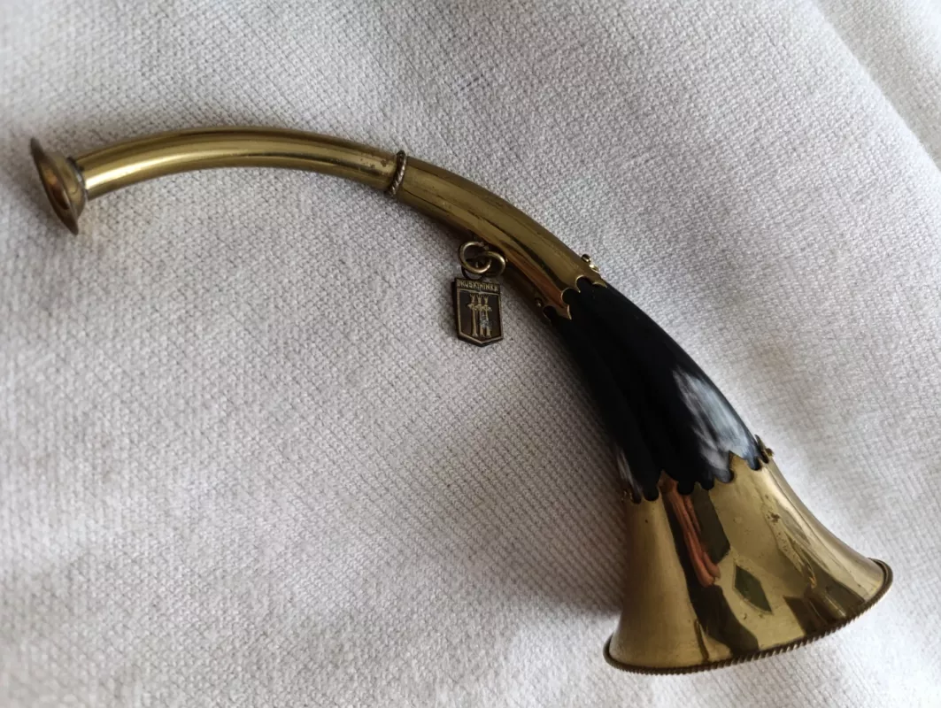 Ragas suvenyras Druskininkų - , namai ir interjeras 5