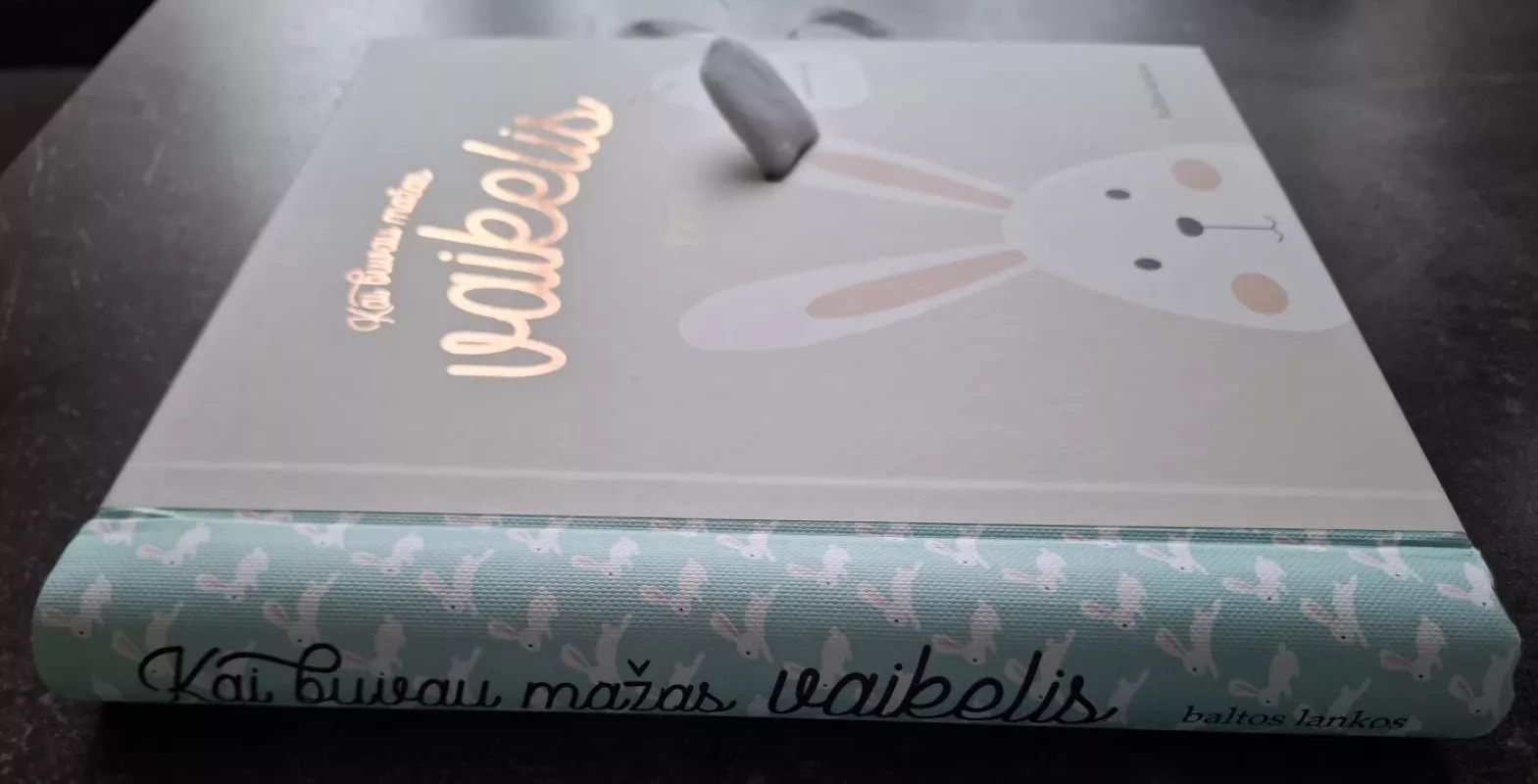 Kai buvau mažas vaikelis. Kūdikio albumas - Autorių Kolektyvas, knyga 5