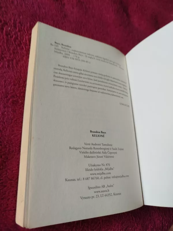 Brandon Bays Kelionė - Brandon Bays, knyga 5