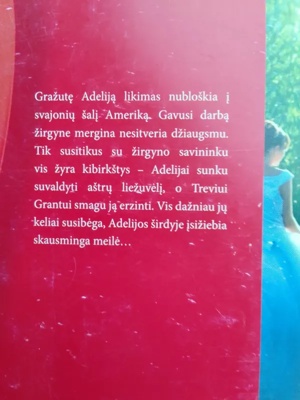 Gražioji arklininkė - Nora Roberts, knyga 5