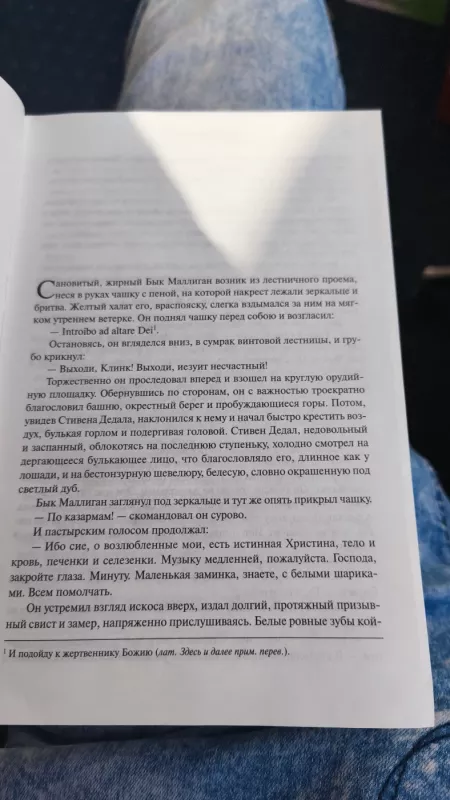 Ulisas - James Joyce, knyga 5