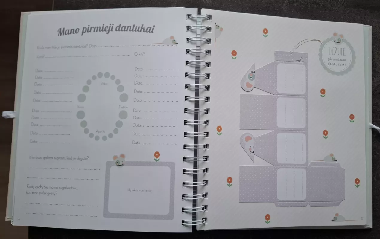 Kai buvau mažas vaikelis. Kūdikio albumas - Autorių Kolektyvas, knyga 6