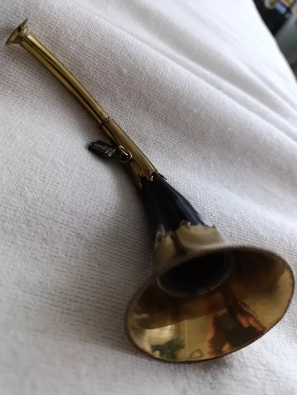 Ragas suvenyras Druskininkų - , namai ir interjeras 4