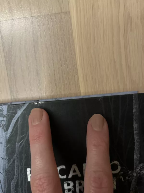 Drugelių naktis - Riccardo Bruni, knyga 5