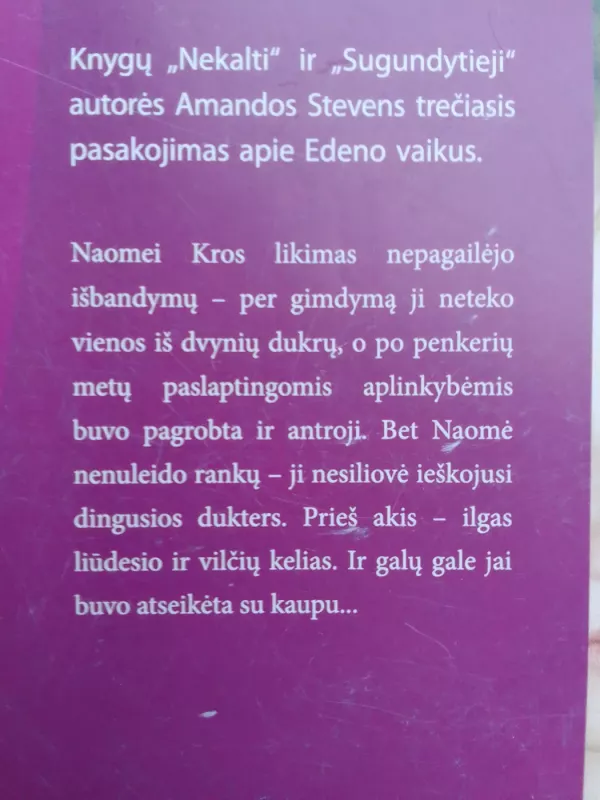 Išpirktieji - Amanda Stevens, knyga 5