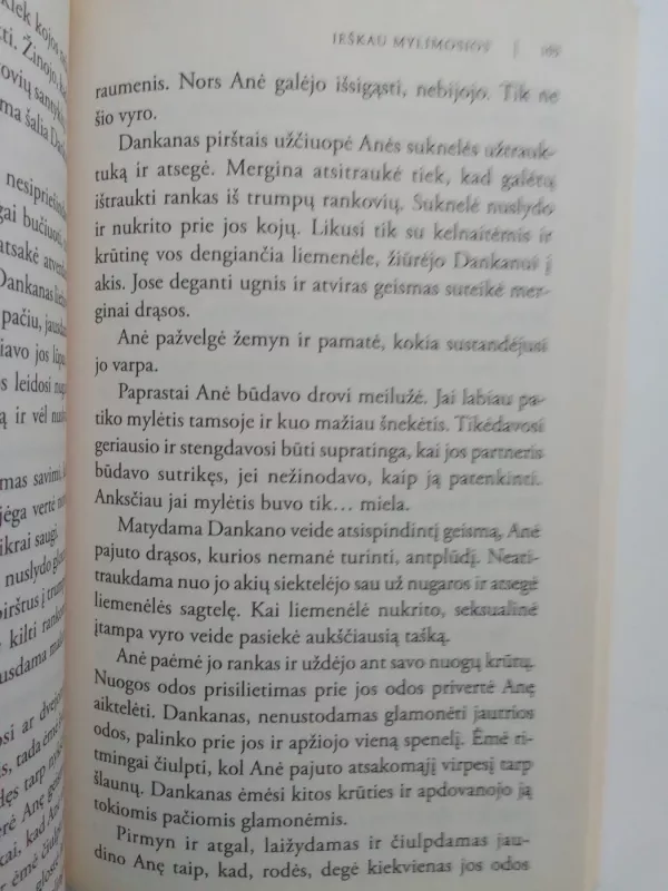 Ieškau mylimosios - Susan Mallery, knyga 4