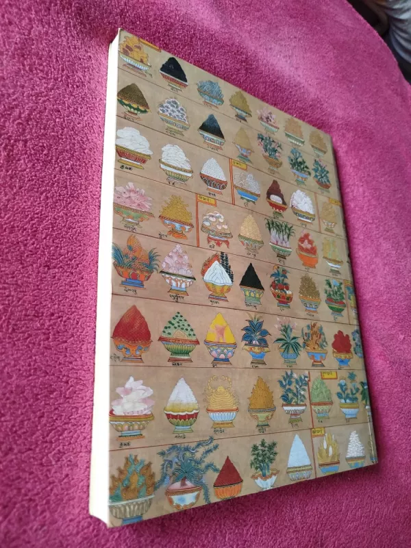 Tibeto gydymo menas - Ian A. Baker, knyga 6