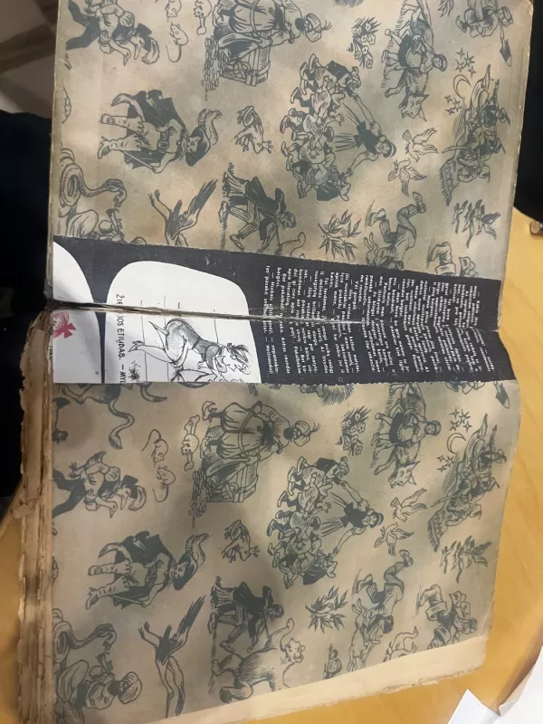 Brolių Grimų pasakos -  Broliai Grimai, knyga 6