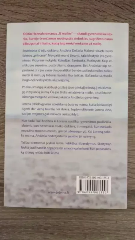 Iš meilės - Kristin Hannah, knyga 3