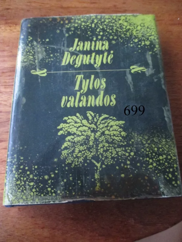 Tylos valandos - Janina Degutytė, knyga 2