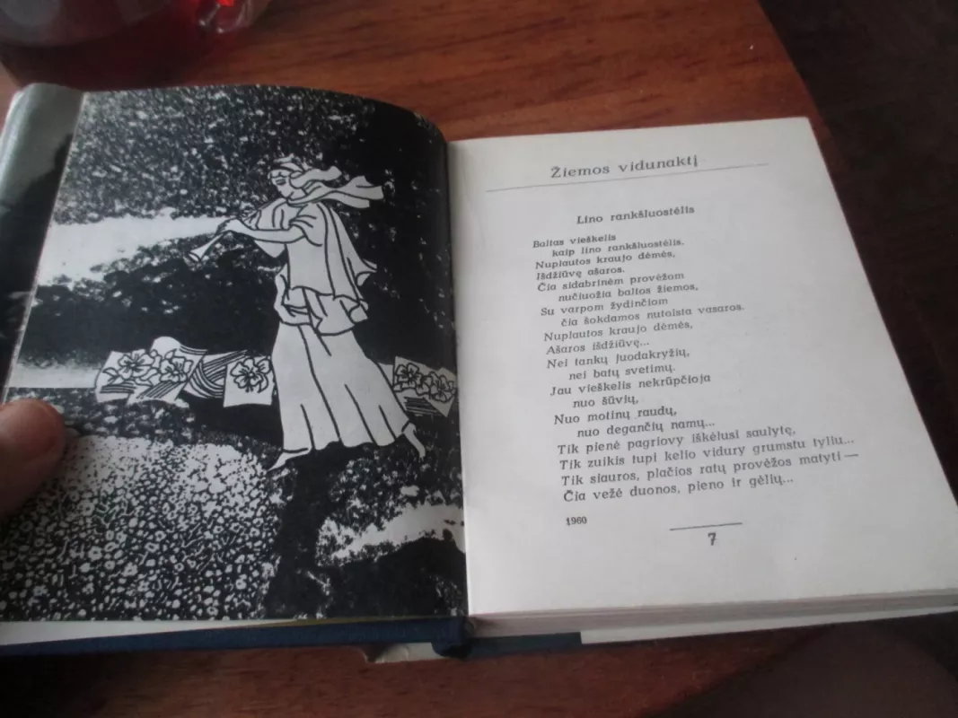 Tylos valandos - Janina Degutytė, knyga 4