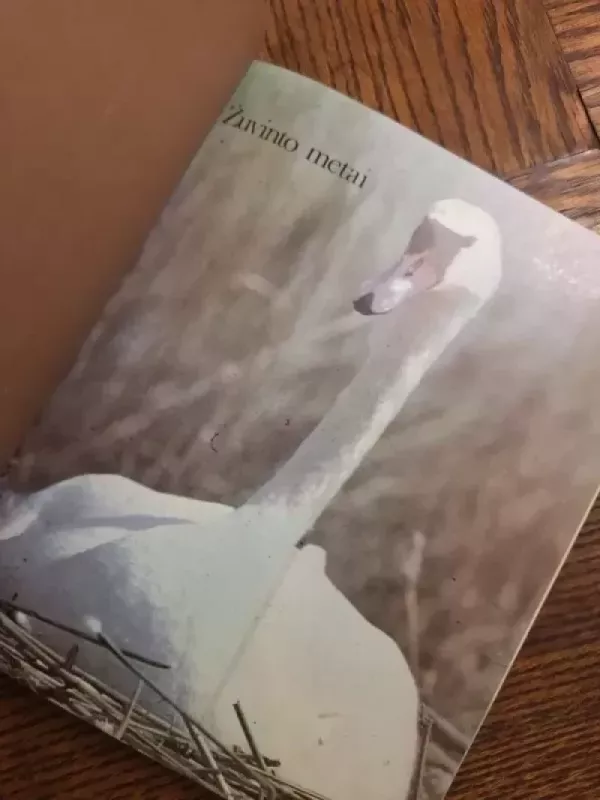 Žuvinto metai - Vytautas Nedzinskas, knyga 3