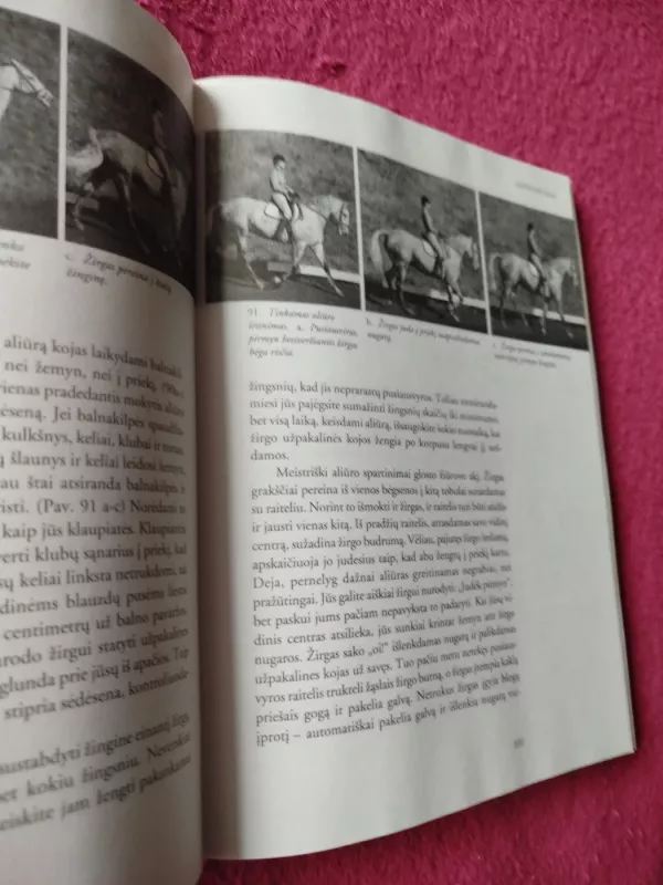 Jojimo pagrindai - Sally Swift, knyga 4