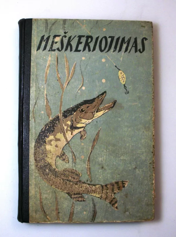 Meškeriojimas - A. Kasulaitis, knyga 4