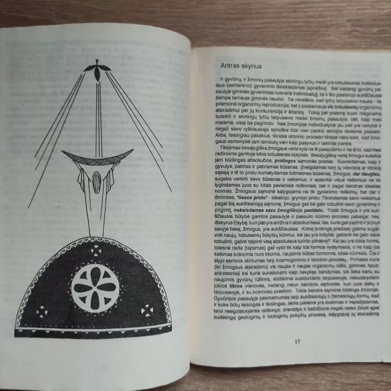 Meilės prasmė - Vladimiras Solovjovas, knyga 3