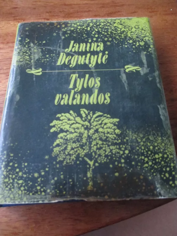 Tylos valandos - Janina Degutytė, knyga 3