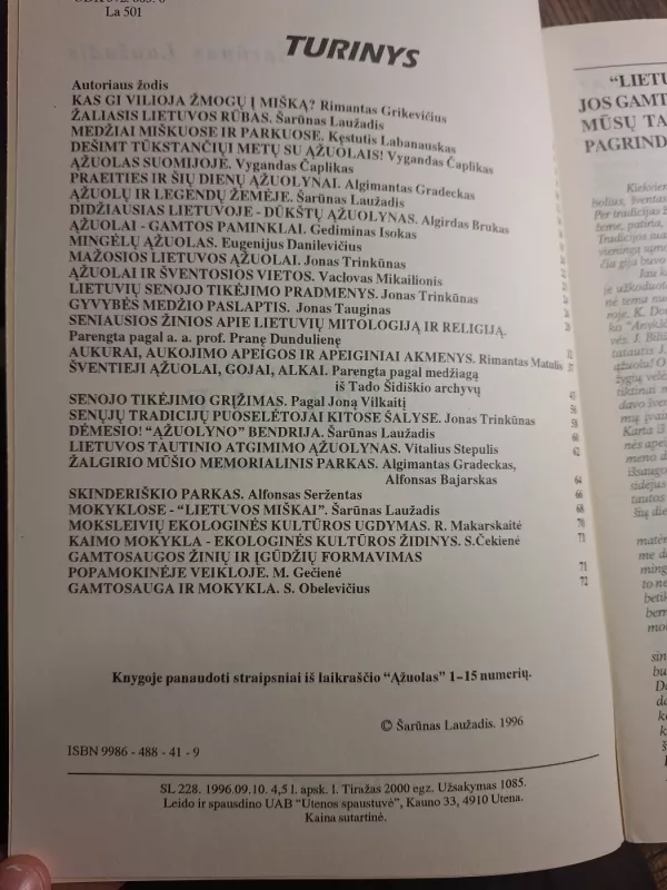 Garbusis medi, ąžuole - Šarūnas Laužadis, knyga 3