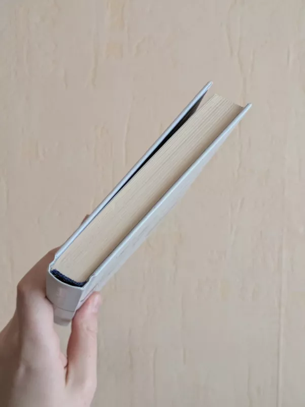 Randai - Auður Ava Ólafsdóttir, knyga 3