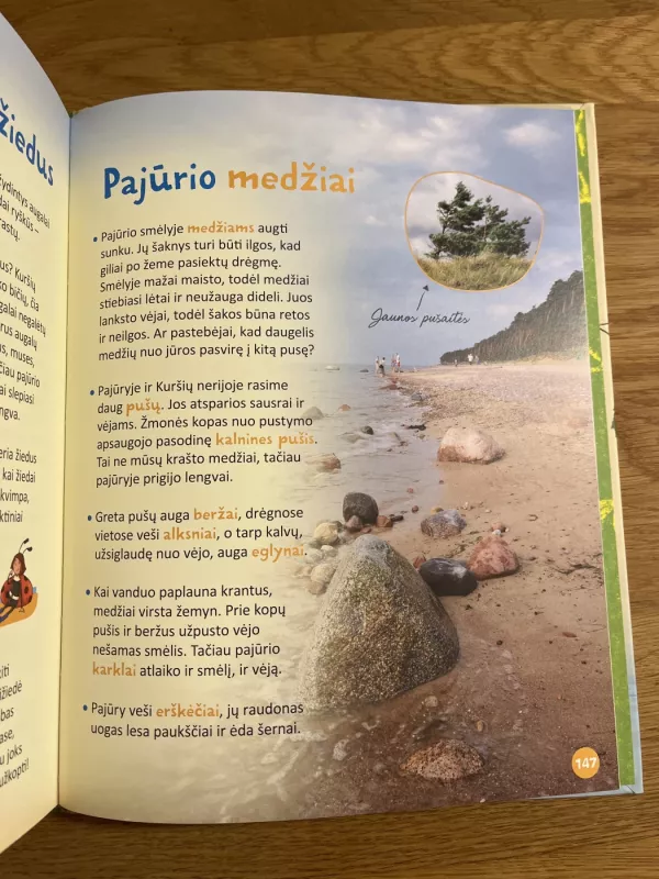 Eime i gamta! - Selemonas Paltanavičius, knyga 3